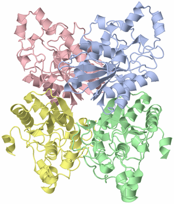 Image Asym./Biol. Unit