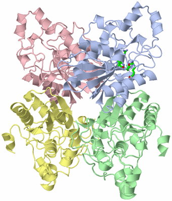 Image Asym./Biol. Unit - sites