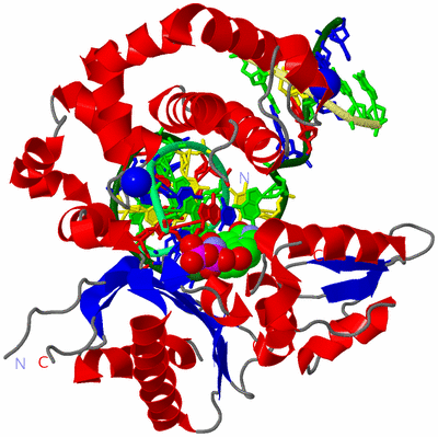 Image Asym./Biol. Unit