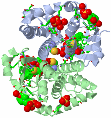 Image Asym./Biol. Unit - sites