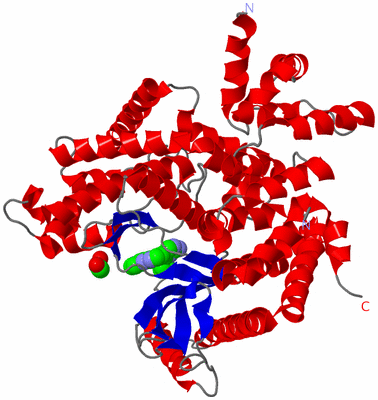 Image Asym./Biol. Unit