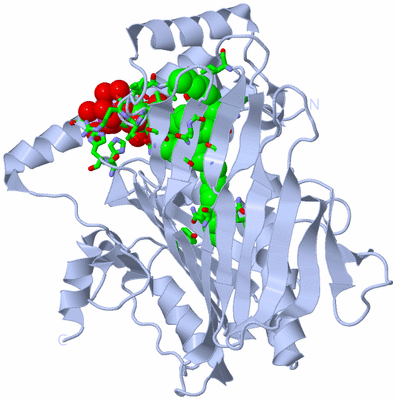 Image Biol. Unit 1 - sites