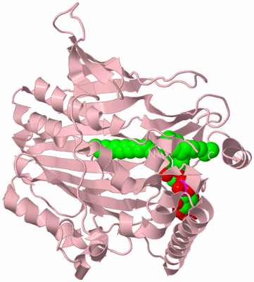 Image Biological Unit 3