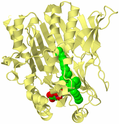 Image Biological Unit 4