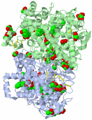 Image Asym./Biol. Unit