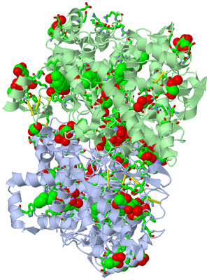 Image Asym./Biol. Unit - sites