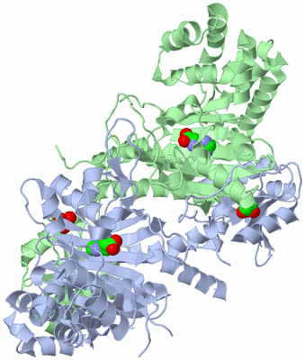 Image Biological Unit 1