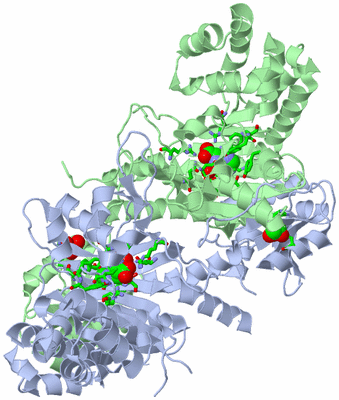 Image Biol. Unit 1 - sites