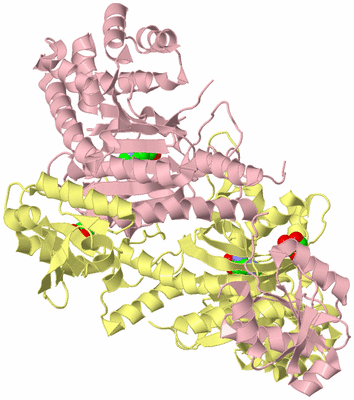 Image Biological Unit 2