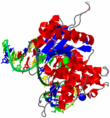 Image Asym./Biol. Unit