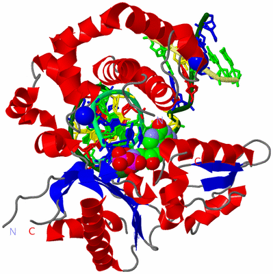 Image Asym./Biol. Unit