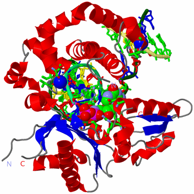 Image Asym./Biol. Unit - sites