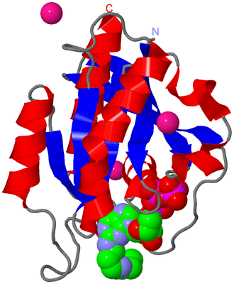 Image Asym./Biol. Unit