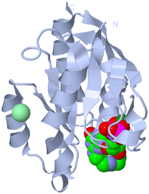 Image Biological Unit 1