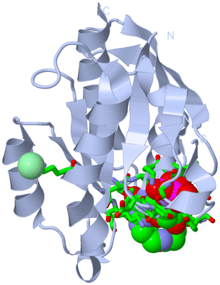 Image Biol. Unit 1 - sites