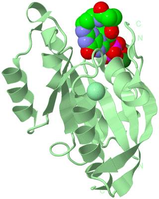 Image Biological Unit 2