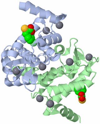 Image Asym./Biol. Unit