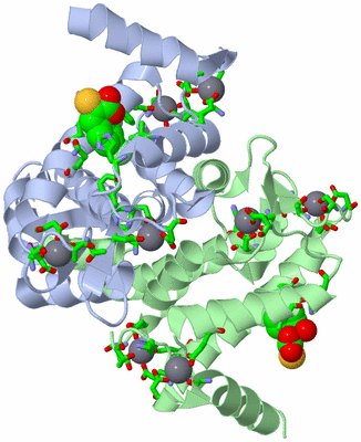 Image Asym./Biol. Unit - sites