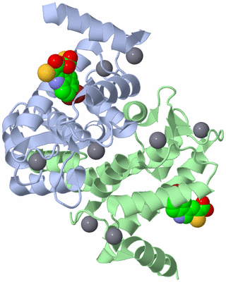 Image Asym./Biol. Unit