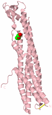 Image Biological Unit 3