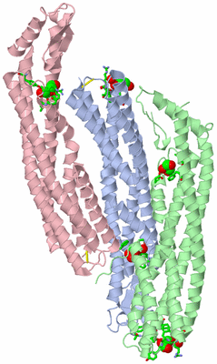 Image Asym. Unit - sites