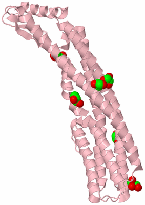 Image Biological Unit 3