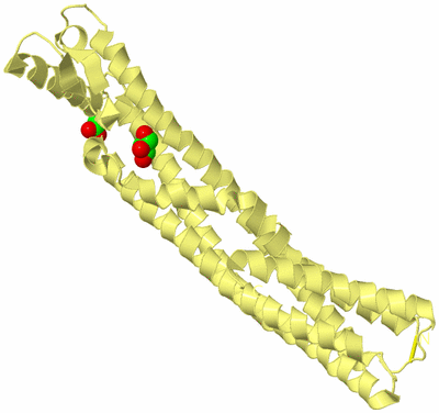 Image Biological Unit 4