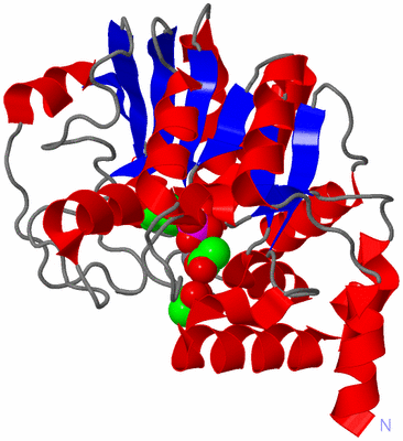 Image Asym./Biol. Unit