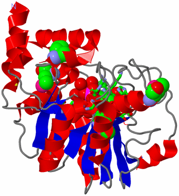 Image Asym./Biol. Unit - sites