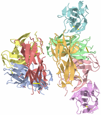 Image Asym./Biol. Unit