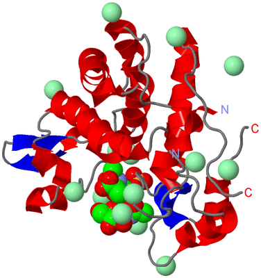 Image Asym./Biol. Unit