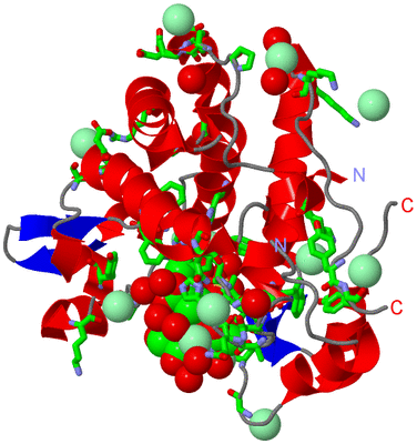 Image Asym./Biol. Unit - sites