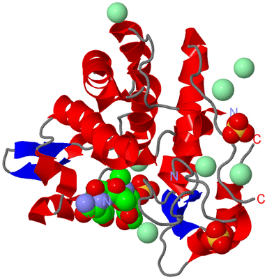 Image Asym./Biol. Unit