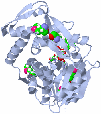 Image Biol. Unit 1 - sites