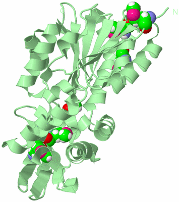 Image Biological Unit 2