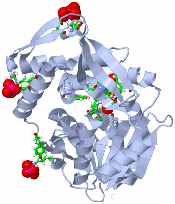 Image Biol. Unit 1 - sites