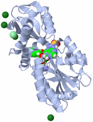 Image Biological Unit 1