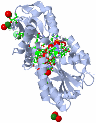 Image Biol. Unit 1 - sites