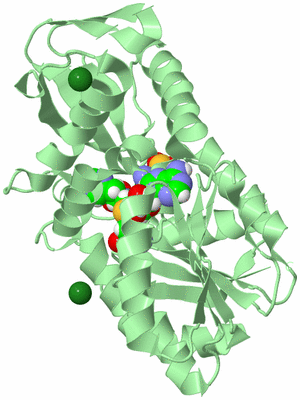 Image Biological Unit 2