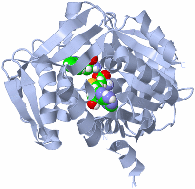 Image Biological Unit 1