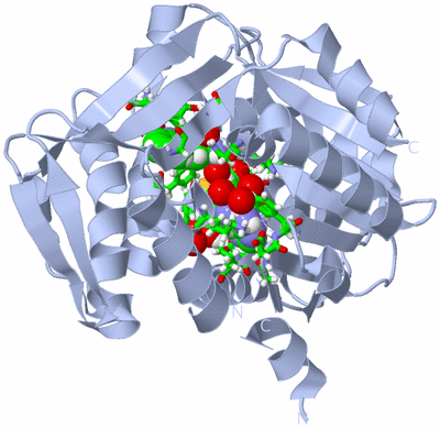 Image Biol. Unit 1 - sites