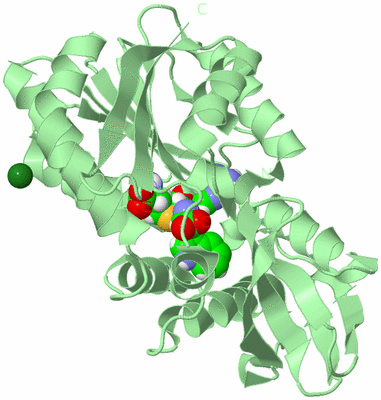 Image Biological Unit 2