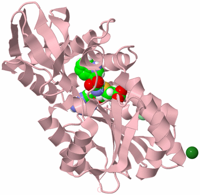 Image Biological Unit 3