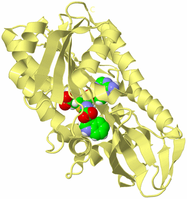 Image Biological Unit 4