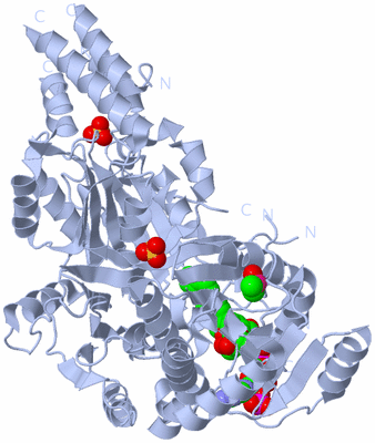 Image Biological Unit 1