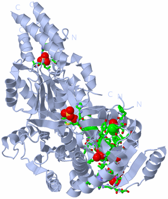 Image Biol. Unit 1 - sites