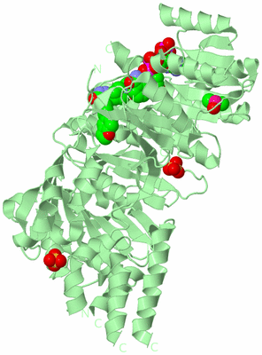 Image Biological Unit 2