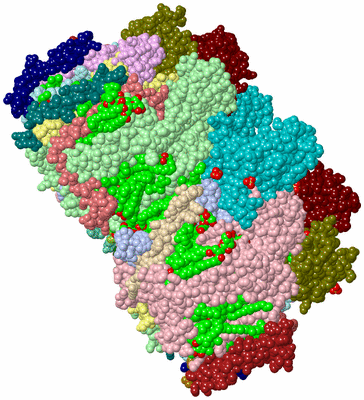 Image Asym./Biol. Unit