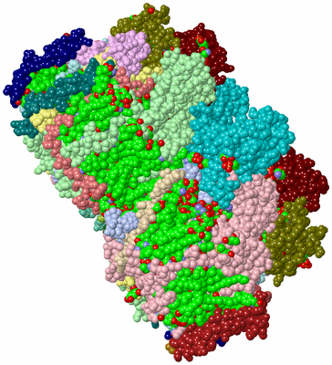 Image Asym./Biol. Unit - sites