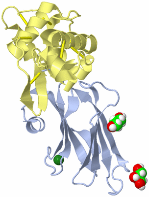 Image Biological Unit 1